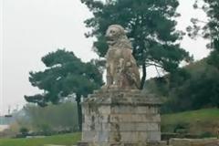 Το Λιοντάρι της Αμφίπολης αγναντεύει την αρχική του θέση στον Τύμβο Καστά