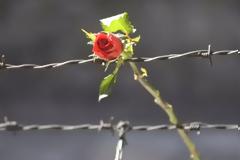 H γλώσσα μας εκπέμπει σήμα κινδύνου!