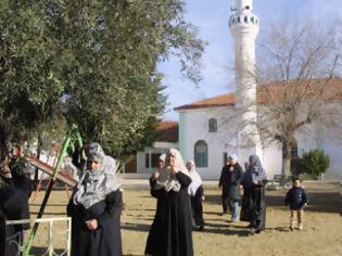 Φωτογραφία για Κραυγή αγωνίας για Θράκη