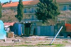 Ολόκληρες συνοικίες στη Λάρισα στο έλεος των... ευπαθών γύφτων!