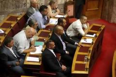 Η Χρυσή Αυγή ζητάει την επαναφορά της θανατικής καταδίκης