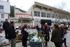 Τρόφιμα χωρίς μεσάζοντες σε προσιτές τιμές στην Ξάνθη!