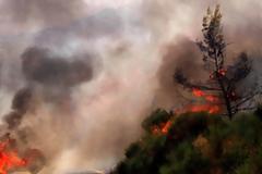 Σπάρτη: Σε εξέλιξη δασική πυρκαγιά