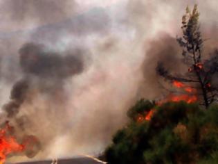 Φωτογραφία για Σπάρτη: Σε εξέλιξη δασική πυρκαγιά