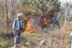 Ο κίνδυνος πέρασε αφού κατέκαψε το πευκοδάσος του Ρειχερού