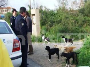 Φωτογραφία για Πύργος: Κινδυνεύουν από αγέλη σκύλων στο Τραγανό!