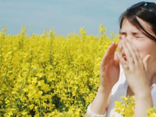 Φωτογραφία για Υγεία: Οι 14 πιο συνηθισμένες αλλεργίες