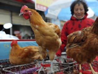 Φωτογραφία για Κίνα: Άλλα τέσσερα κρούσματα της γρίπης των πτηνών Η7Ν9