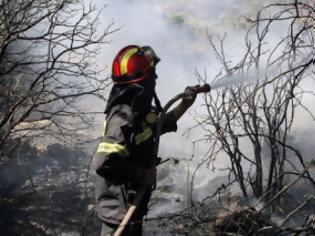Φωτογραφία για Πύρινη λαίλαπα ξανά στη Κρήτη - Στις φλόγες δύο νομοί του νησιού