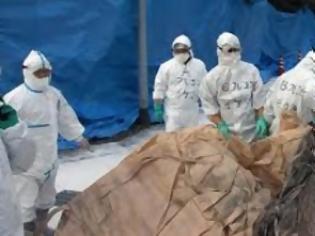 Φωτογραφία για Τέσσερις ακόμη Κινέζοι σε κρίσιμη κατάσταση από την γρίπη των πτηνών