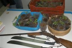 Συνελήφθη 51χρονος στη Δράμα για ναρκωτικά και οπλοκατοχή
