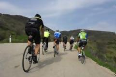 8ο Brevet Πύργου Ηλείας 2013