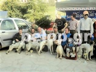 Φωτογραφία για Διαγωνισμός καλύτερου κυνηγετικού σκύλου στα Καλάβρυτα