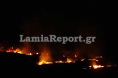 Λαμία: 30 στρέμματα έκαψε χθες βράδυ η φωτιά στο Φραντζόμυλο
