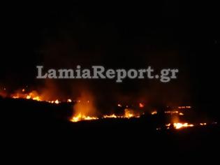 Φωτογραφία για Λαμία: 30 στρέμματα έκαψε χθες βράδυ η φωτιά στο Φραντζόμυλο