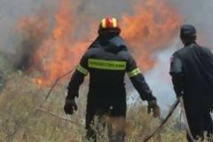 Περίπου 6.000 ευρώ κοστίζει στο Δημόσιο κάθε επέμβαση της Πυροσβεστικής!