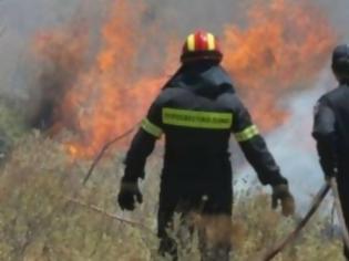 Φωτογραφία για Περίπου 6.000 ευρώ κοστίζει στο Δημόσιο κάθε επέμβαση της Πυροσβεστικής!