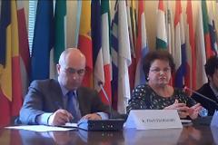 Ν. Τζαβέλλα: Μεγάλη η ενεργειακή «προίκα» της Ελλάδας