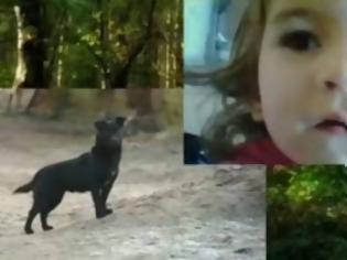 Φωτογραφία για Σκύλος έσωσε τη ζωή 3χρονης που εξαφανίστηκε από το σπίτι [Video]