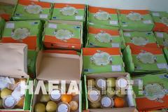 Ξεκίνησε η διανομή φρούτων στα σχολεία της Hλείας