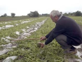 Φωτογραφία για ΕΛΓΑ: Παράταση υποβολής δηλώσεων για αποζημιώσεις από τον παγετό