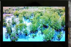 Japan Display με οθόνη 5.2″ FHD OLED 1080p