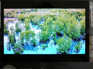 Φωτογραφία για Japan Display με οθόνη 5.2″ FHD OLED 1080p