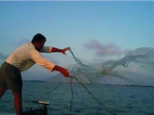 Φωτογραφία για Χορήγηση - υπό προϋποθέσεις - νέων αδειών αλιείας σε επαγγελματικά σκάφη