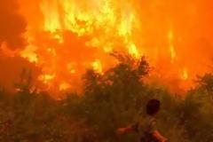 Aχαΐα: Σε εξέλιξη μεγάλη πυρκαγιά στην περιοχή Πέτα