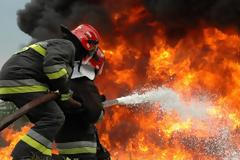 ΣΥΜΒΑΙΝΕΙ ΤΩΡΑ: Συναγερμός σε Πυροσβεστική και Λιμενικό για φωτιά σε πευκοδάσος στην Πούντα Σκοπέλου