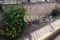 Κλαίει όλη η Χαλκίδα για το 27χρονο παλικάρι