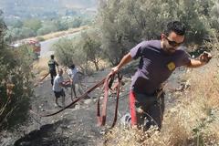 Πύρινα μέτωπα σε όλη την Κρήτη - Ολονύκτια μάχη με τις φλόγες