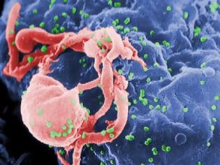 Φωτογραφία για Υγεία: Φυσικό «εγχειρίδιο» ανοσίας κατά του AIDS διαθέτει ο ανθρώπινος οργανισμός