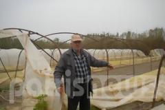 Hλεία: Μεγάλη καταστροφή άφησαν πίσω τους οι ισχυροί άνεμοι