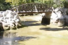Άφησαν τον Eθνικό Κήπο να μαραζώσει