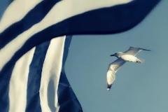 Ἀγαπητοὶ νέοι, ἡ μόνη μας ἐλπίδα εἶναι νὰ βγεῖ ἀπὸ σᾶς ἕνας Μακρυγιάννης κὶ ἕνας Καποδίστριας