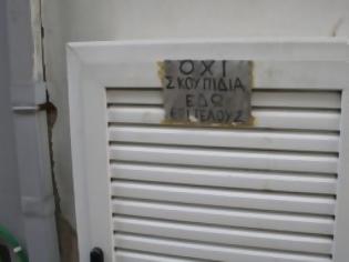 Φωτογραφία για Τέτοιες πινακίδες υπάρχουν πολλές στη Χαλκίδα