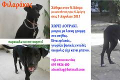 Χάθηκε ο Φιλαράκος στο Νέο Κόσμο