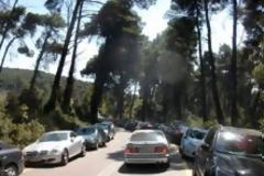 Δελτίο τύπου από τον Όμιλο φίλων του δάσους