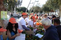 Μέσα σε 40 λεπτά έφυγαν 1.400 φυτά!
