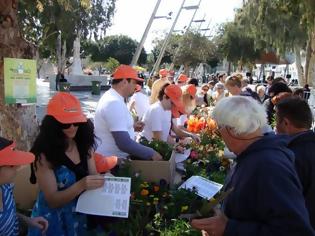 Φωτογραφία για Μέσα σε 40 λεπτά έφυγαν 1.400 φυτά!