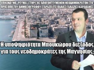 Φωτογραφία για Η υποψηφιότητα Μπουκώρου διέξοδος για τους νεοδημοκράτες της Μαγνησίας;;..