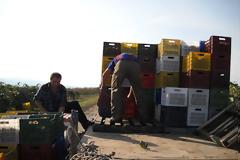 Γίνε κι εσύ αγρότης… Η μεγάλη απόφαση και η μεγάλη απάτη