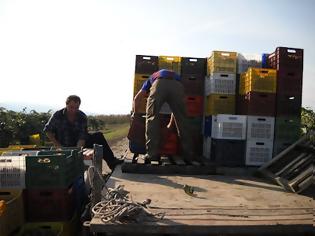 Φωτογραφία για Γίνε κι εσύ αγρότης… Η μεγάλη απόφαση και η μεγάλη απάτη