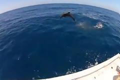 VIDEO: Πανέμορφο θέαμα!!