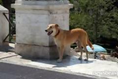 Η αλήθεια για τον Λουκάνικο και τη ζωή του