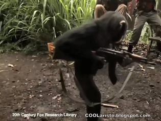 Φωτογραφία για Μαϊμού με καλάζνικοφ σκορπίζει τον πανικό σε Αφρικανούς στρατιώτες! (video)