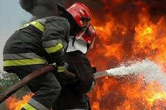 Φολόη: Φωτιά σε εξέλιξη στο πανέμορφο δρυοδάσος
