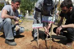 Δενδροφύτευση σε πάρκο του Δήμου Φιλαδέλφειας - Χαλκηδόνας