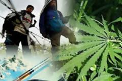 Η Γερμανία απαιτεί να κλείσουν τα ελληνικά σύνορα για τους λαθρομετανάστες..και απειλεί την Ελλάδα αν δεν συμμορφωθεί.